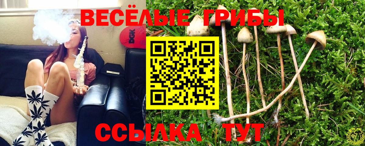 Меф   Гашиш  Кокаин  Шали  ГАШИШ  Вход с VPN 